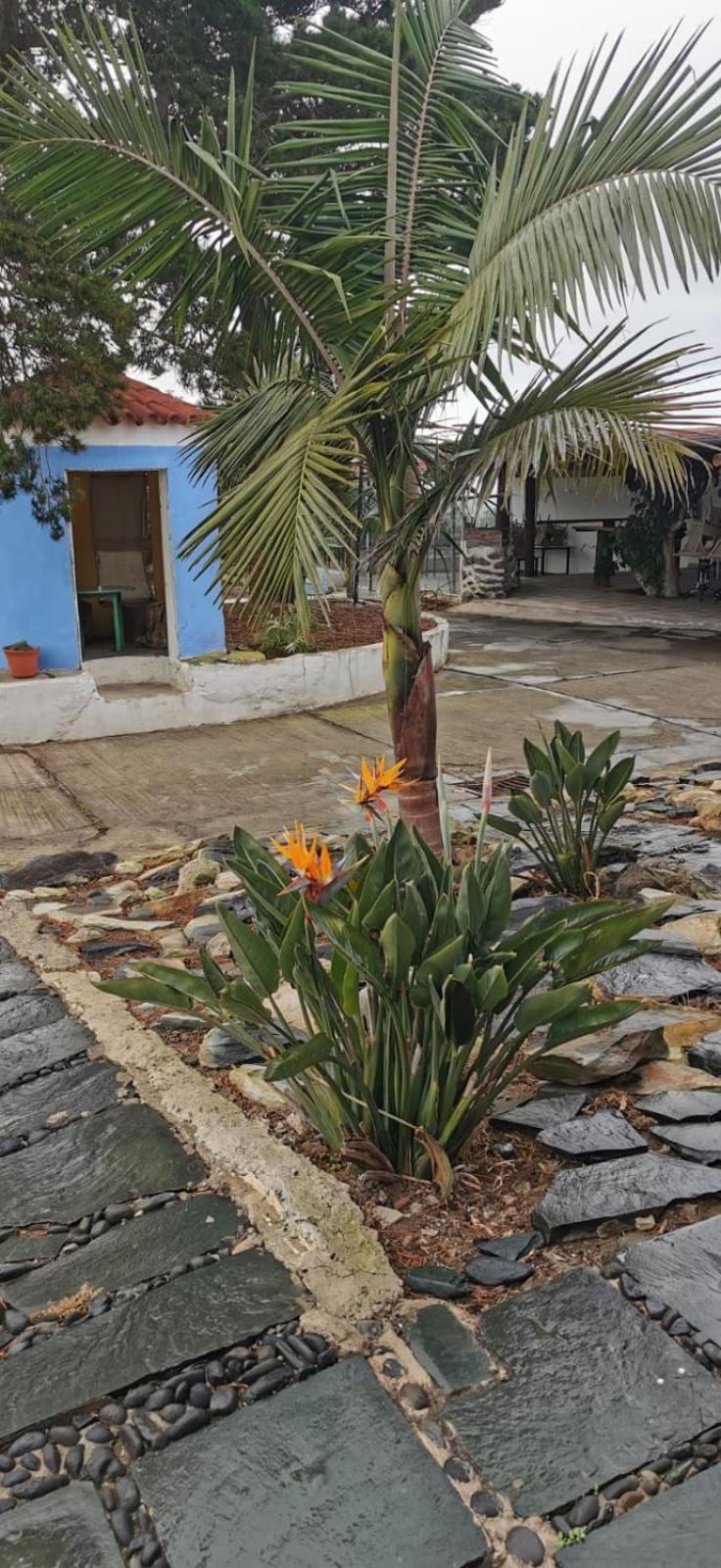 Casa La Caldera Villa Firgas Rom bilde